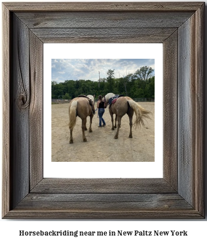 horseback riding near me in New Paltz, New York